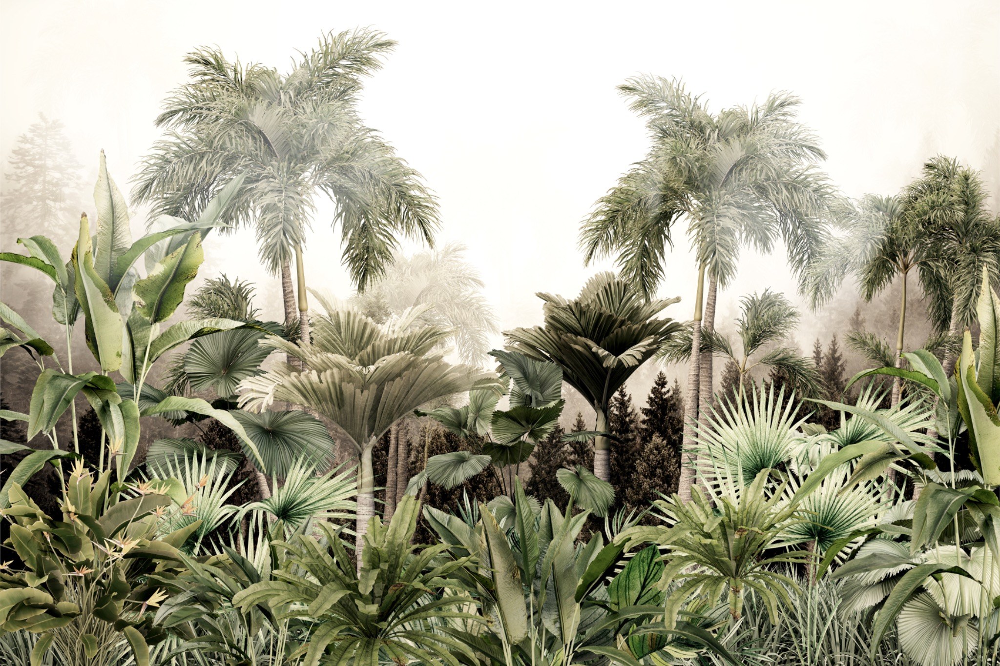 Wild Paradise wall mural – LH Lifestyle